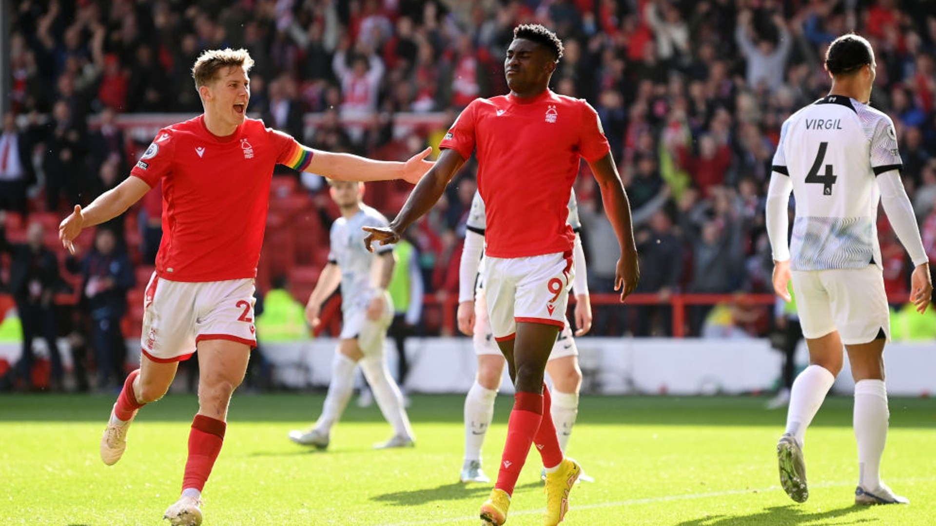 王哲林领衔 王哲林领衔